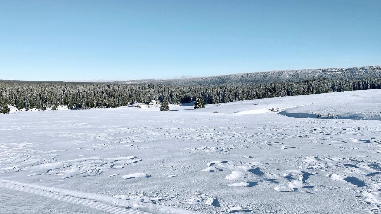 Appartement Ideal Pour Ete Et Hiver, Situe Au Pied Des Pistes De Ski Et Des Sentiers De Randonnee Преманон Экстерьер фото